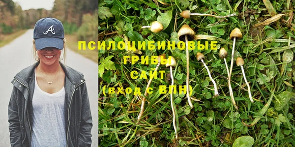 COCAINE Белокуриха